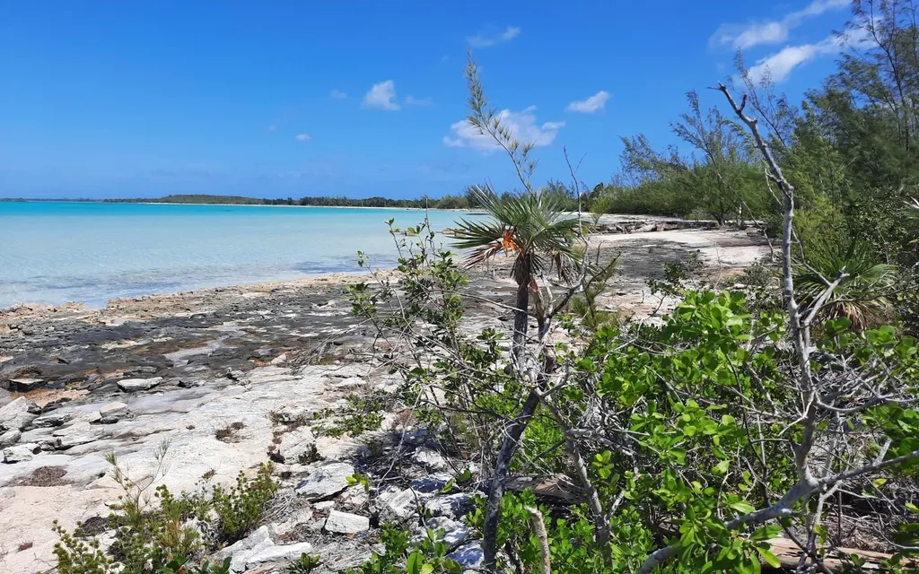 Lot A6, Bunches Long Island BS