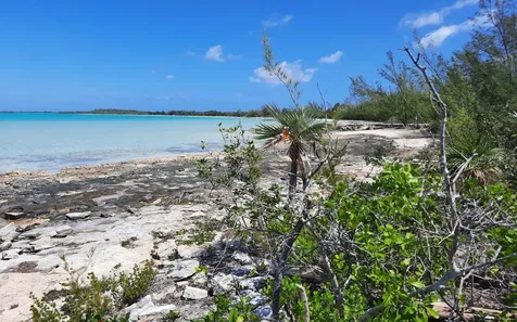 Lot A6, Bunches Long Island BS