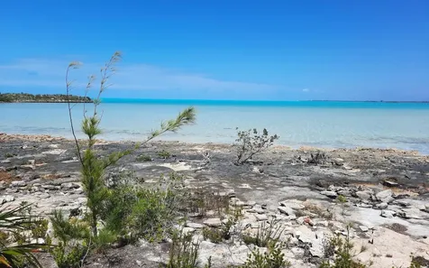 Lot A6, Bunches Long Island BS