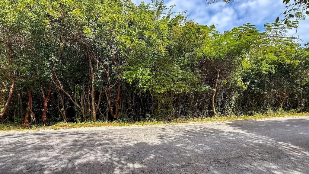 Gregory Town Eleuthera BS