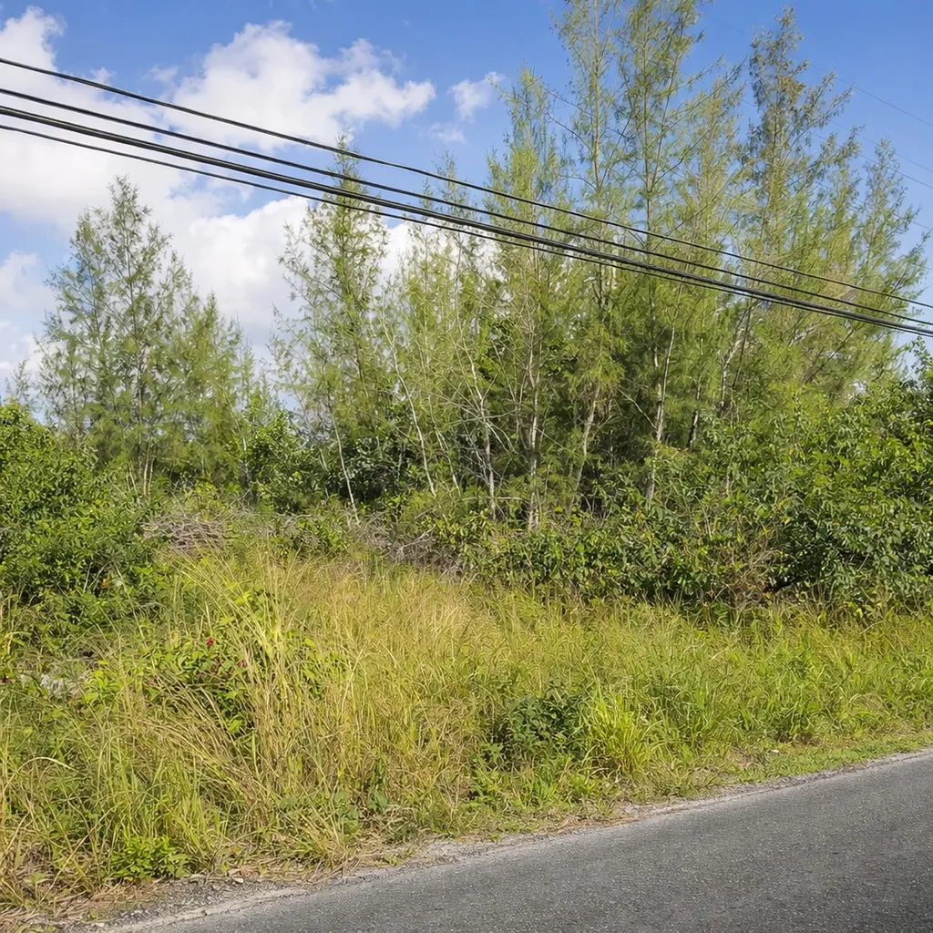 Adelaide Road New Providence Paradise Island BS