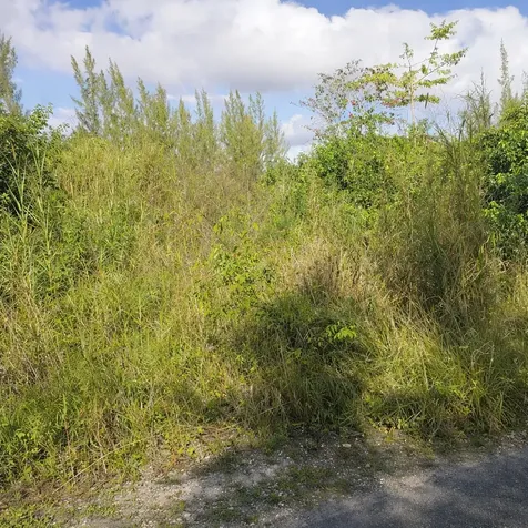 Adelaide Road New Providence Paradise Island BS