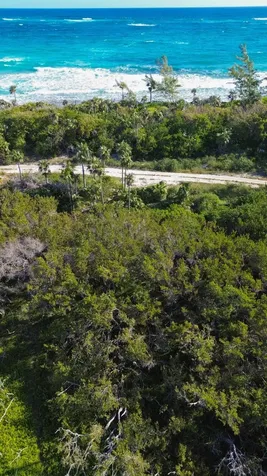 Banks Road Eleuthera BS