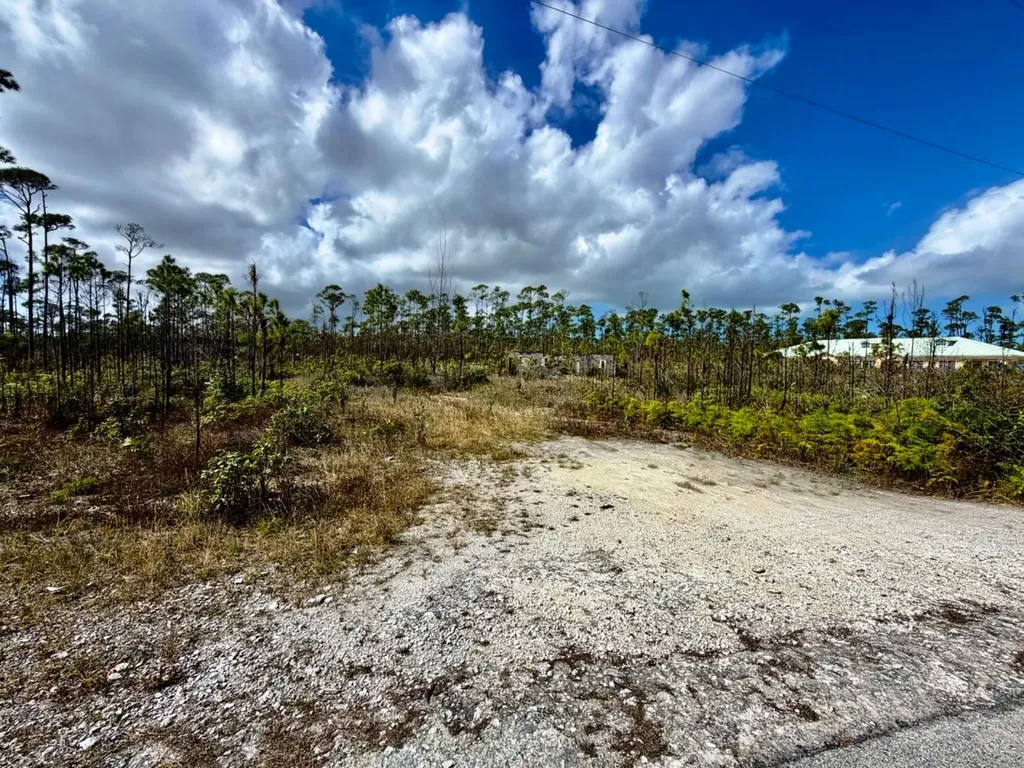 Lincoln Park Grand Bahama Freeport BS