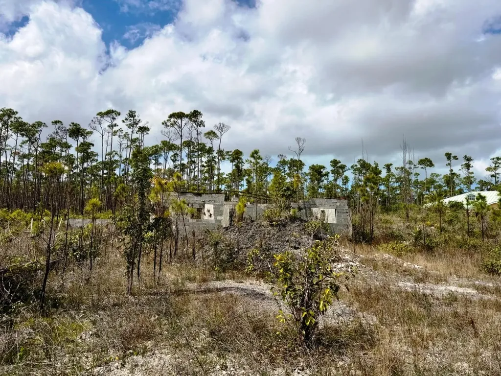 Lincoln Park Grand Bahama Freeport BS