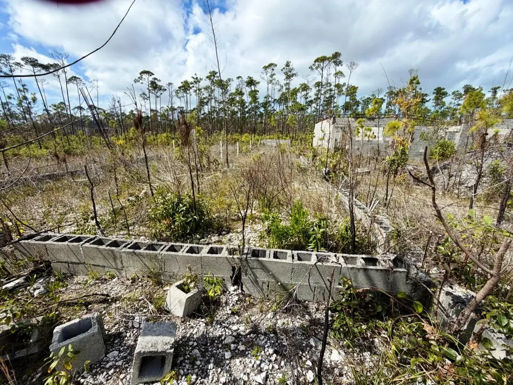 Lincoln Park Grand Bahama Freeport BS