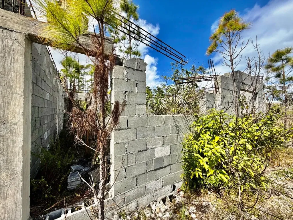 Lincoln Park Grand Bahama Freeport BS