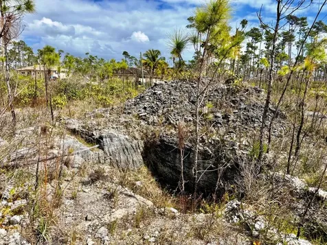 Lincoln Park Grand Bahama Freeport BS