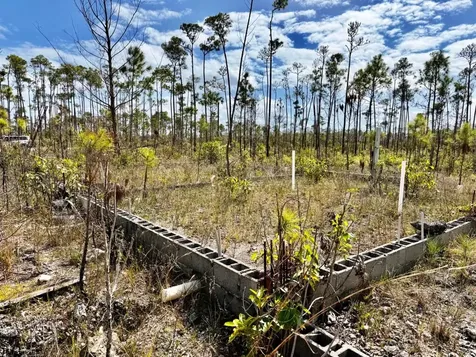 Lincoln Park Grand Bahama Freeport BS