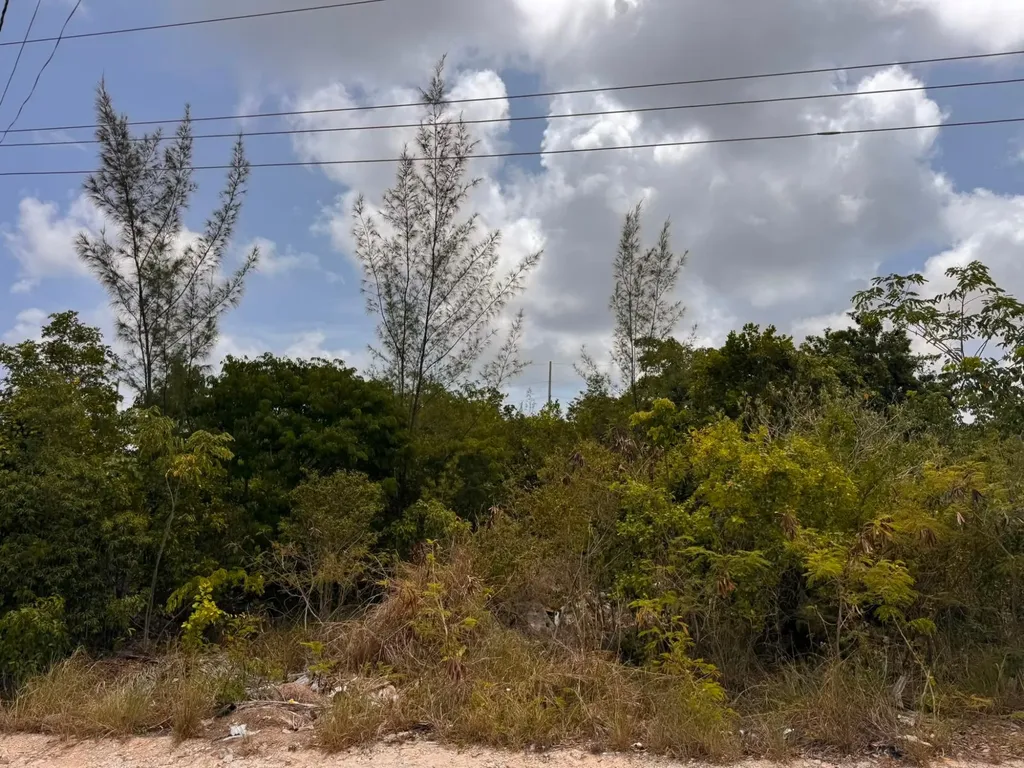 Falstaff Boulevard New Providence Paradise Island BS