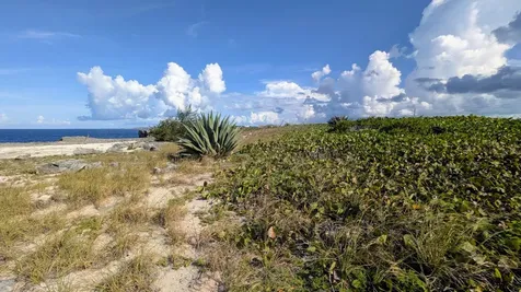 Whale Point Estates Eleuthera BS