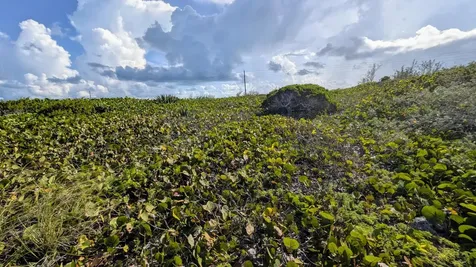 Whale Point Estates Eleuthera BS