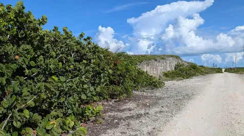 Whale Point Estates Eleuthera BS