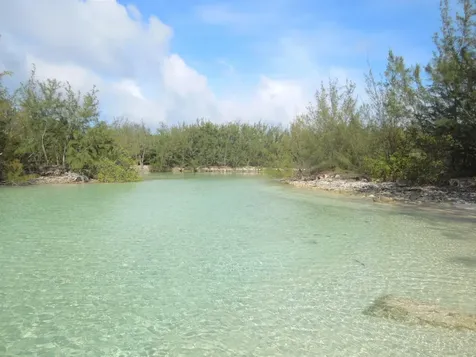 Whale Point Estates Eleuthera BS