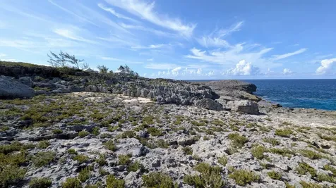 Whale Point Estates Eleuthera BS