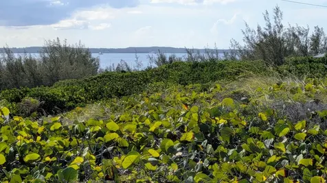 Whale Point Estates Eleuthera BS