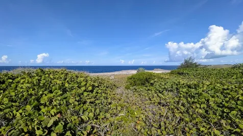 Whale Point Estates Eleuthera BS