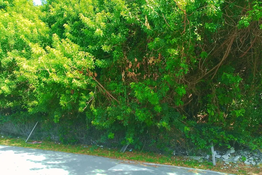 Bellot Road New Providence Paradise Island BS