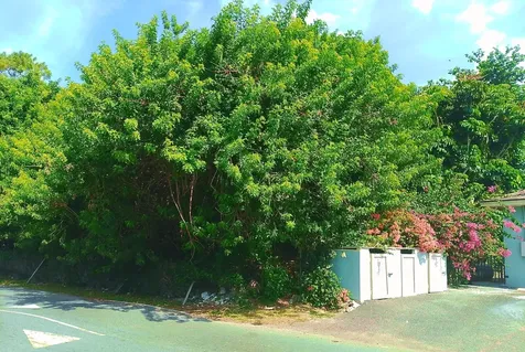 Bellot Road New Providence Paradise Island BS