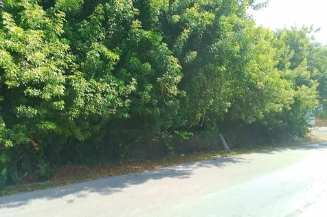 Bellot Road New Providence Paradise Island BS
