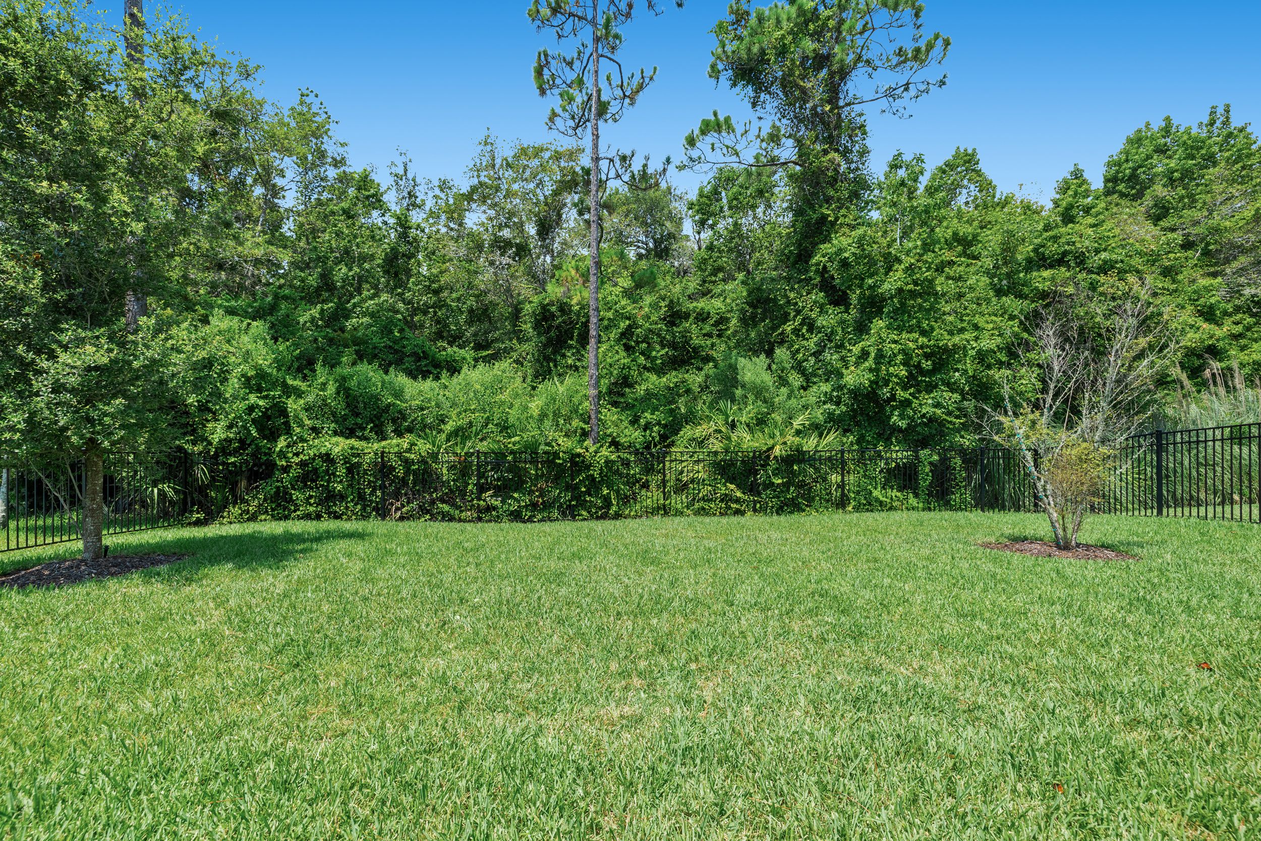 282 Timber Light Trail Ponte Vedra FL 32081
