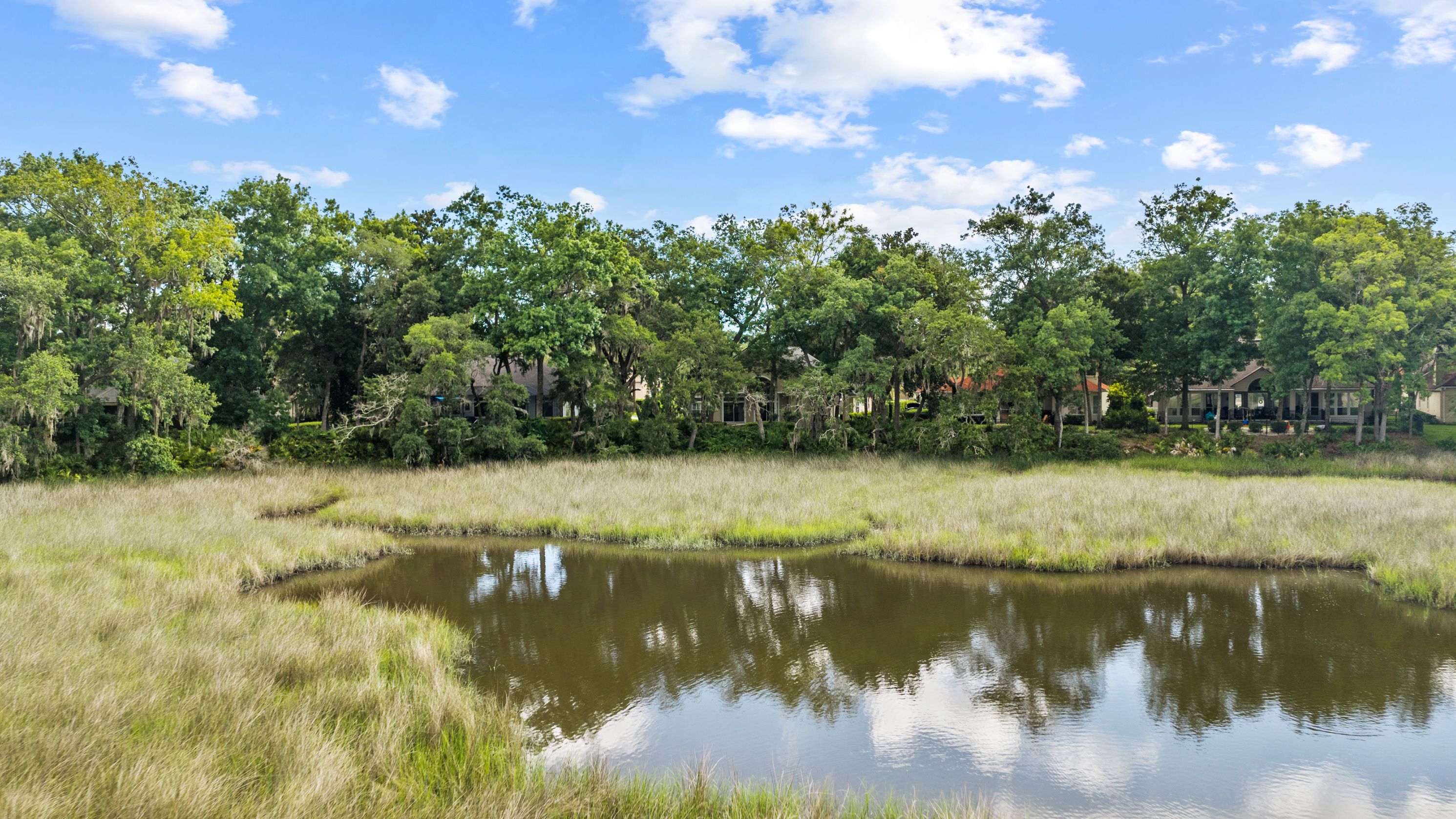 1556 Harrington Park Drive Jacksonville FL 32225