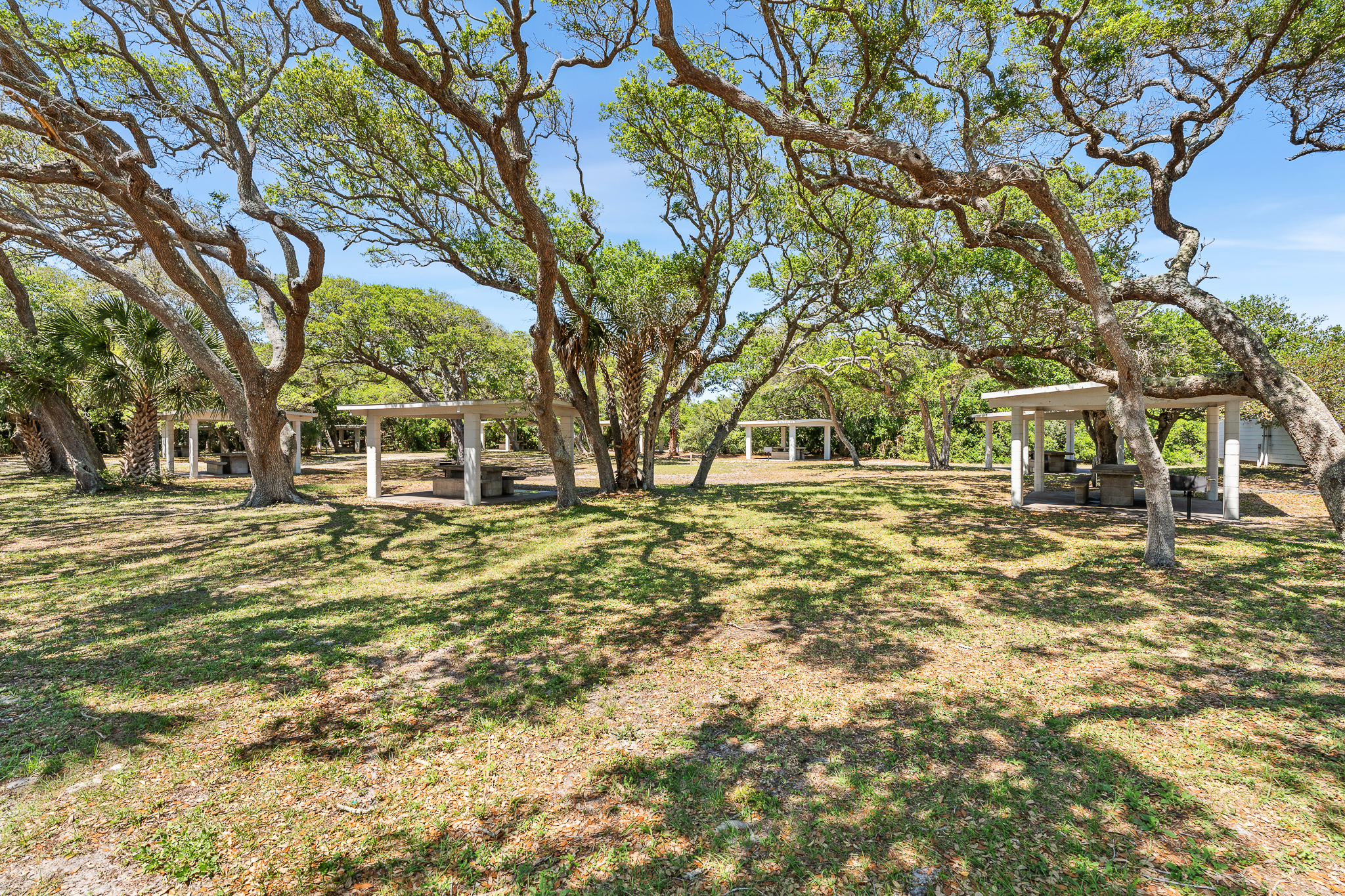 24 Flamingo Drive St Augustine FL 32080