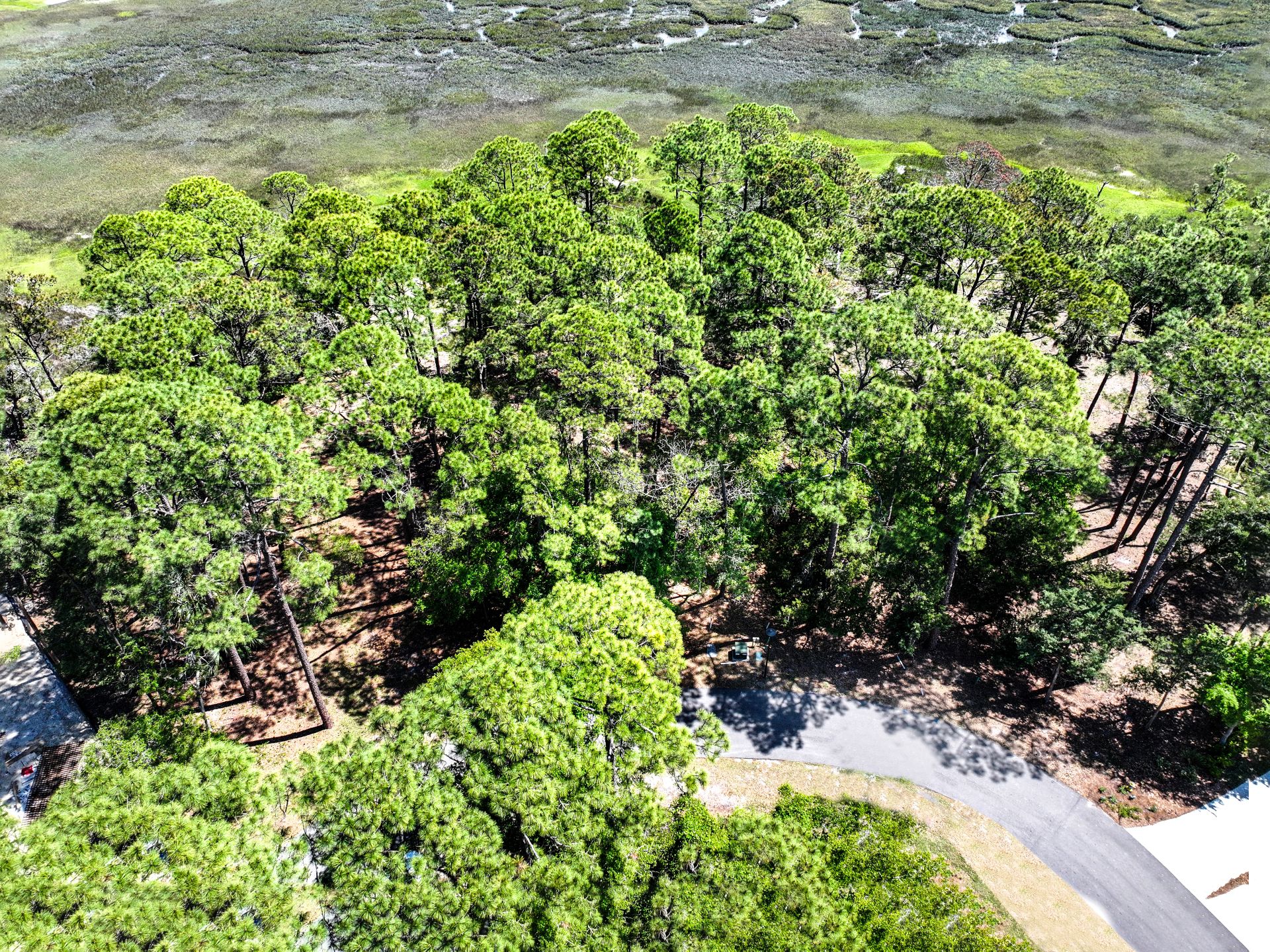 75 Marsh Court Fernandina Beach FL 32034
