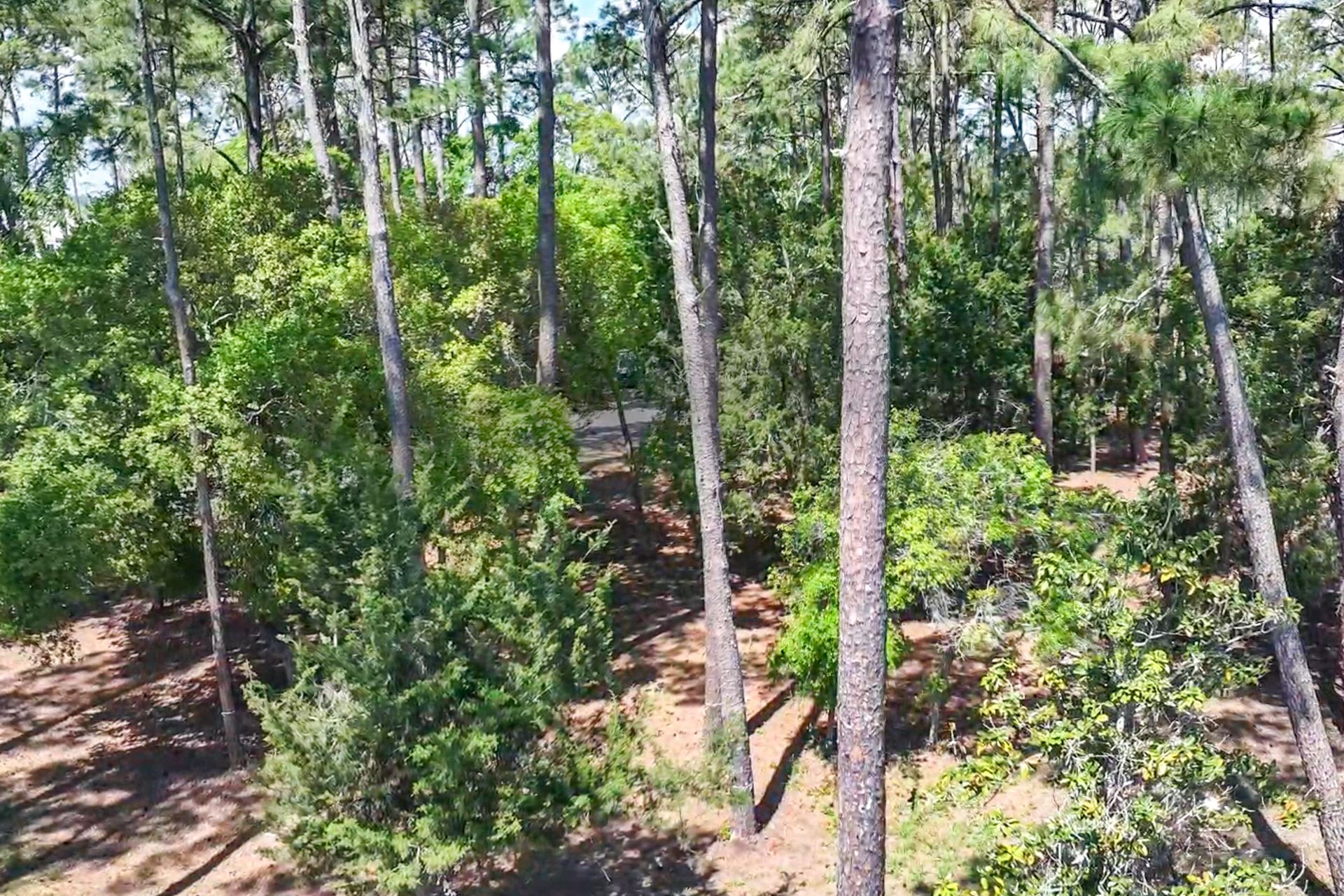 75 Marsh Court Fernandina Beach FL 32034