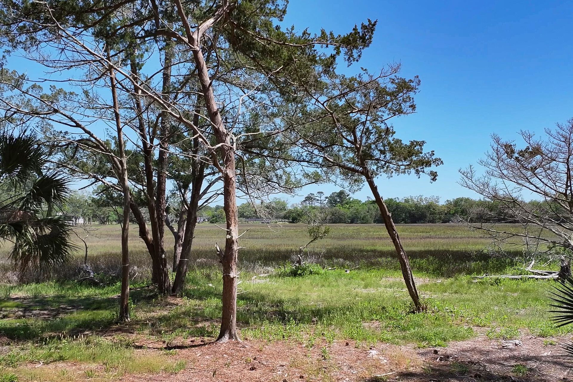 75 Marsh Court Fernandina Beach FL 32034