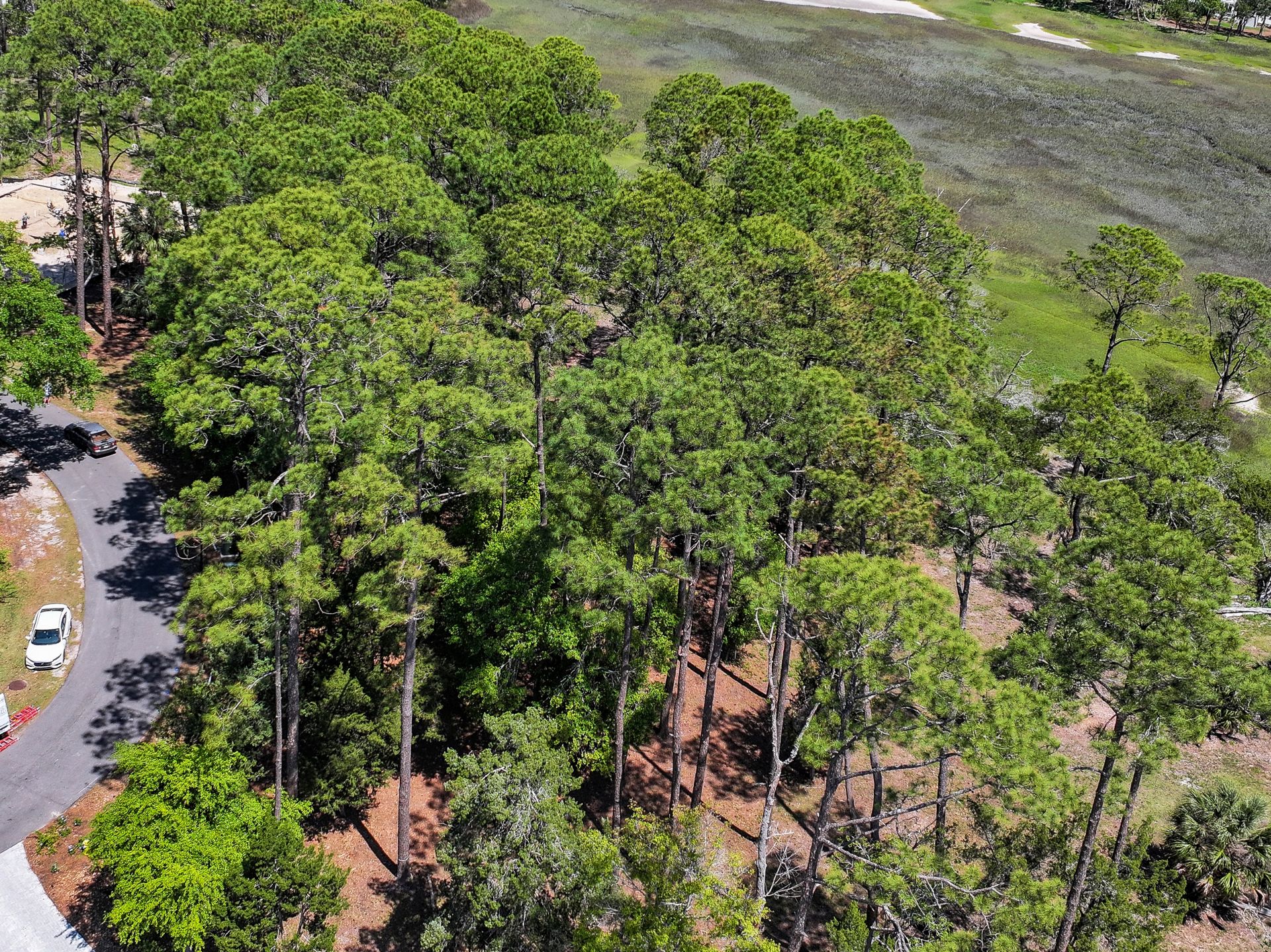 75 Marsh Court Fernandina Beach FL 32034