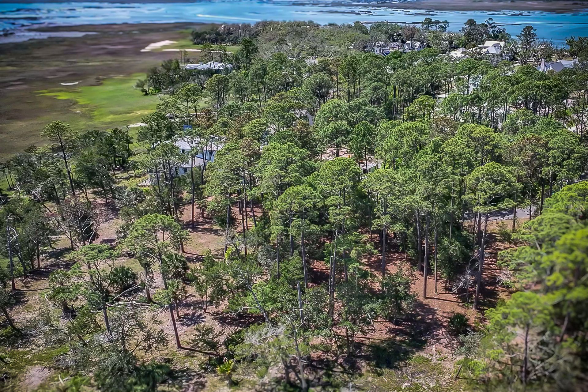 75 Marsh Court Fernandina Beach FL 32034