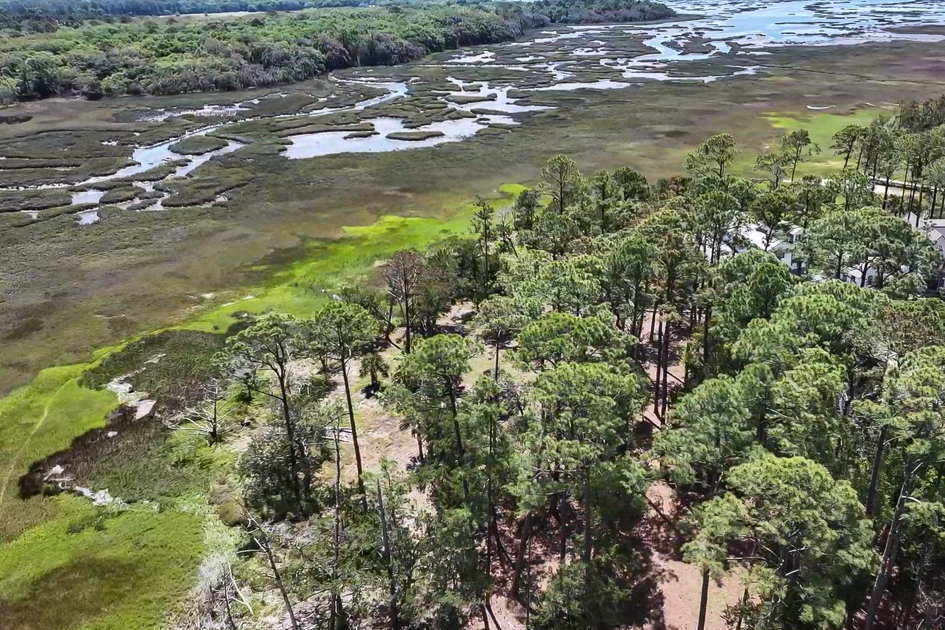 75 Marsh Court Fernandina Beach FL 32034