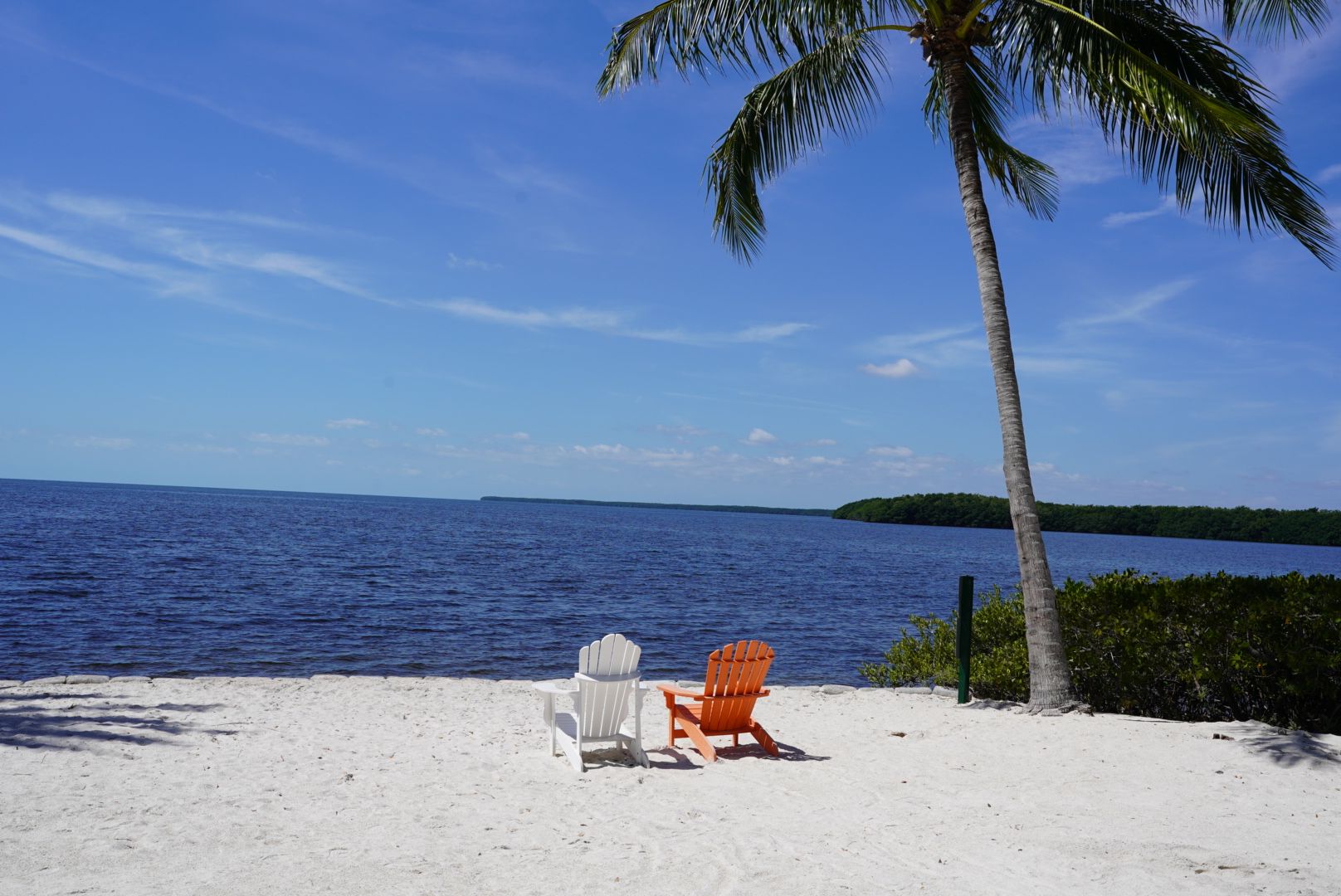 6206 Paradise Point Drive Palmetto Bay FL 33157