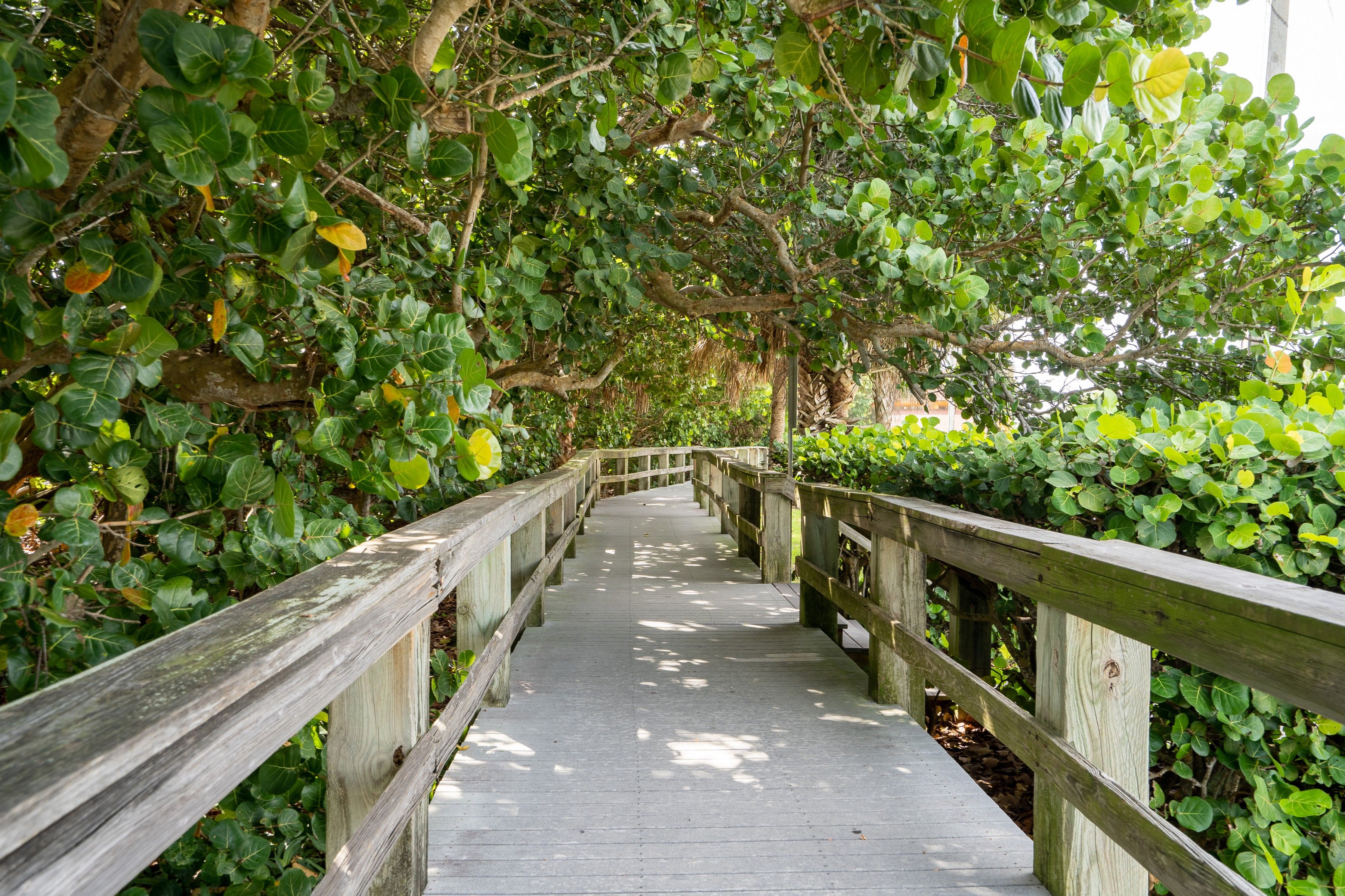1209 S Riverside Drive Indialantic FL 32903