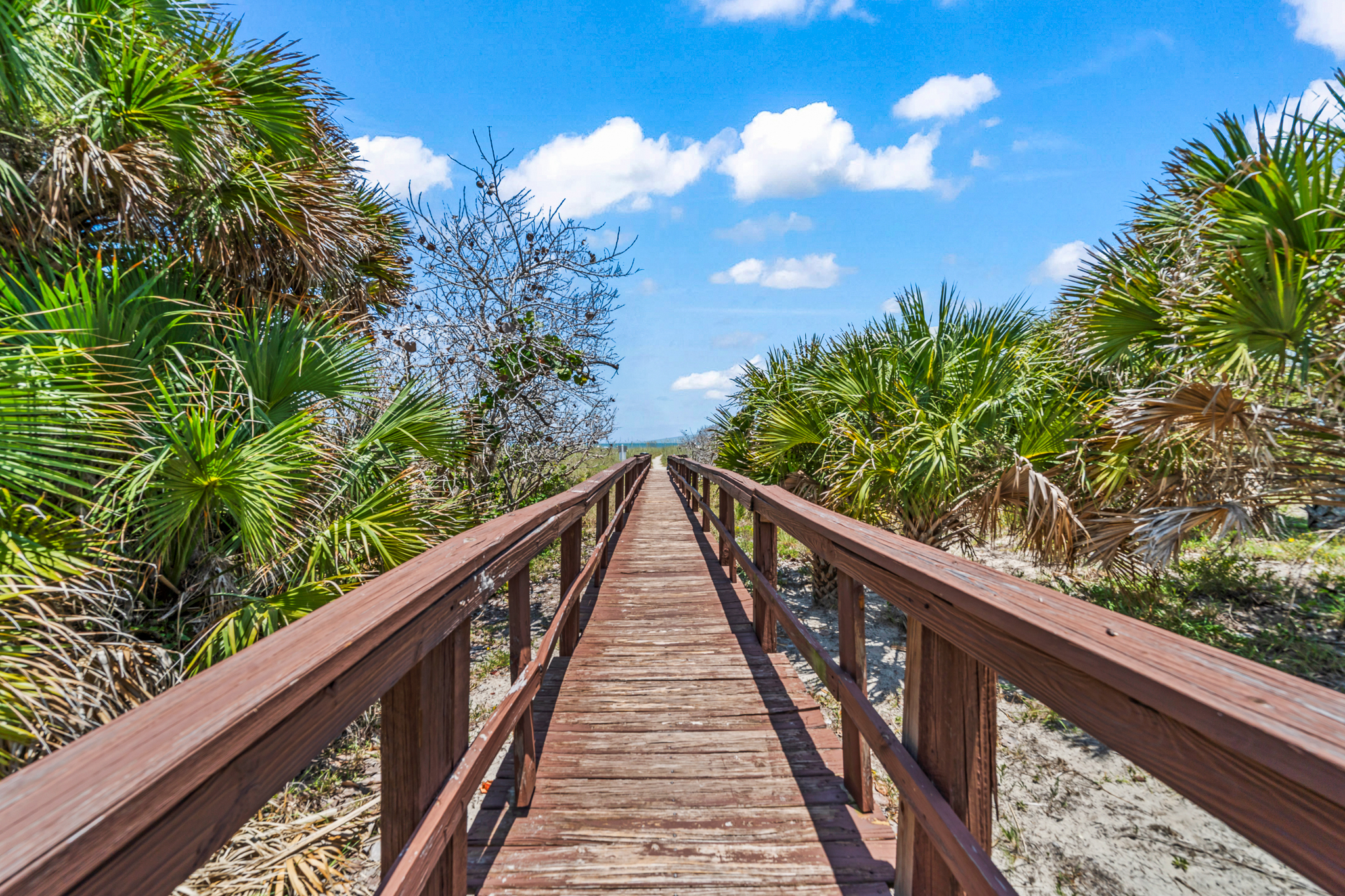3190 N Atlantic Avenue Cocoa Beach FL 32931
