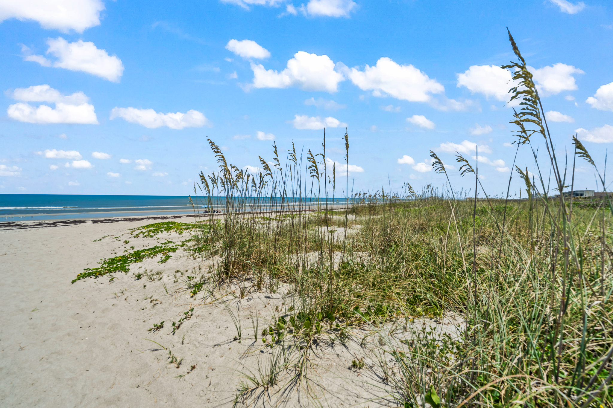 3190 N Atlantic Avenue Cocoa Beach FL 32931