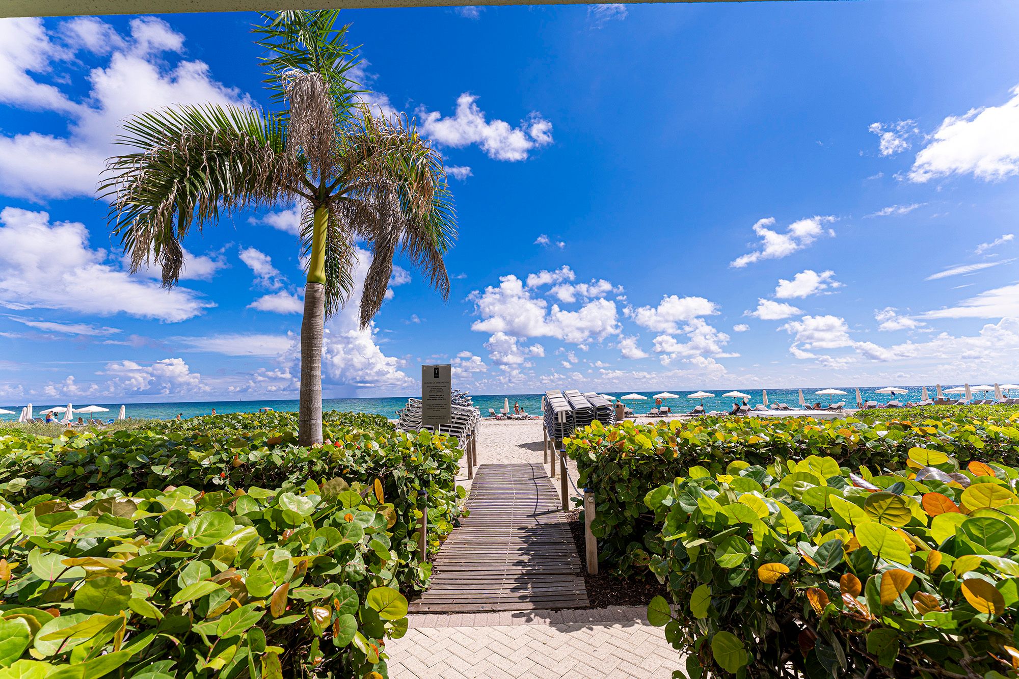 15901 Collins Avenue Sunny Isles Beach FL 33160