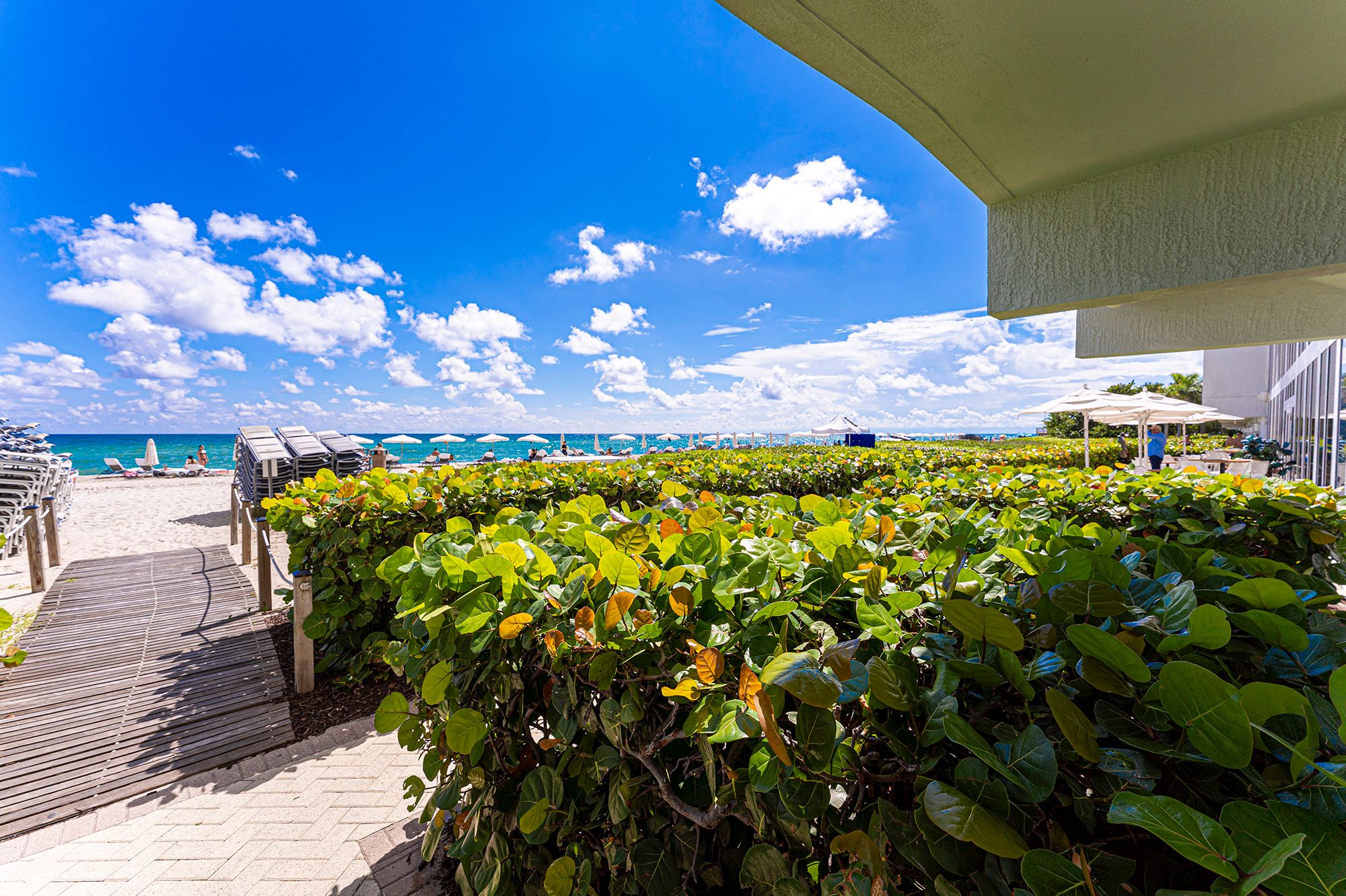 15901 Collins Avenue Sunny Isles Beach FL 33160