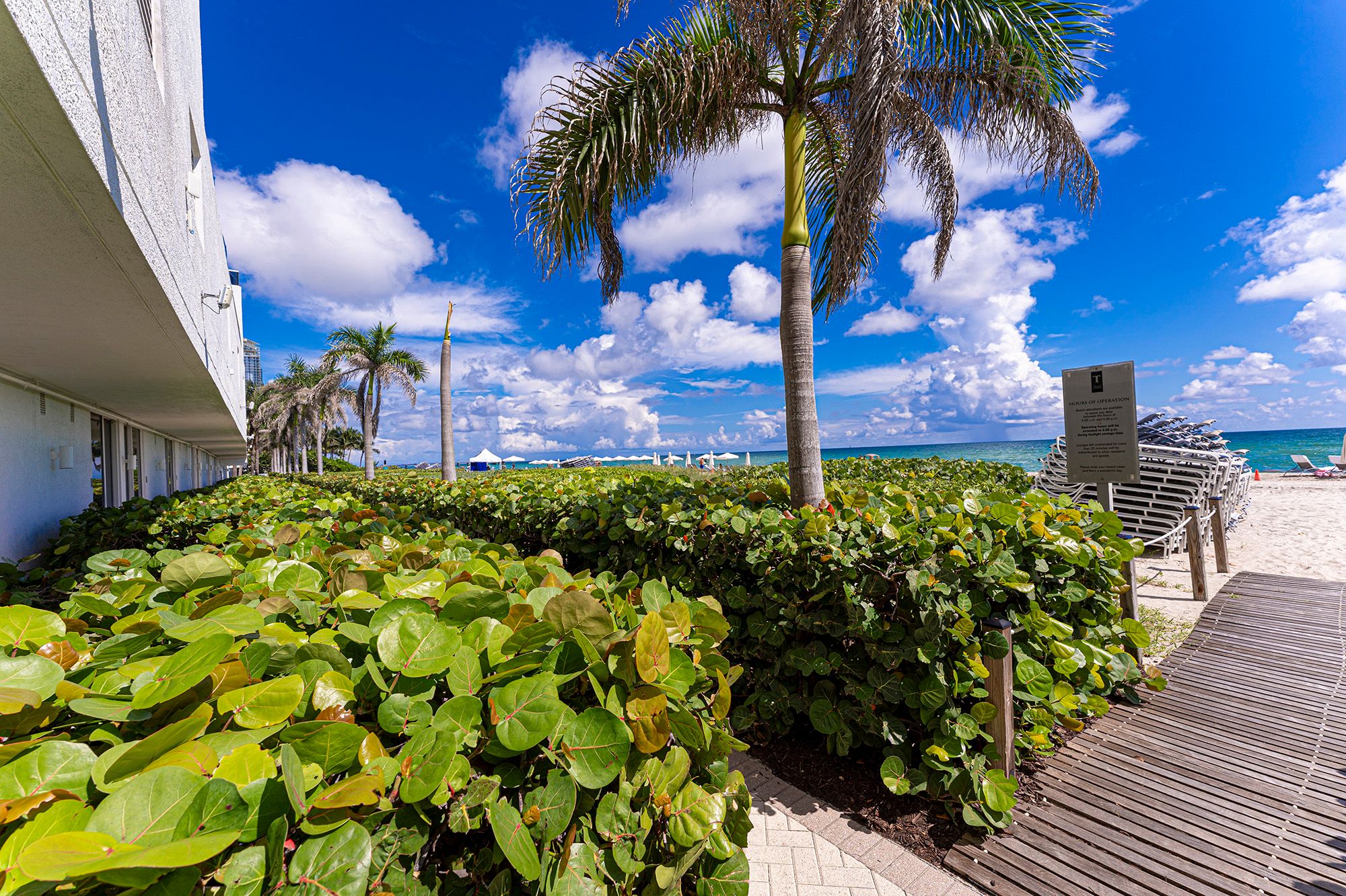 15901 Collins Avenue Sunny Isles Beach FL 33160