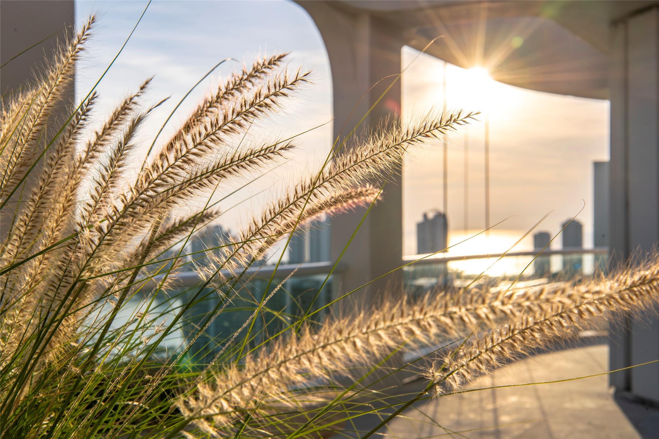 7000 Island Boulevard Aventura FL 33160