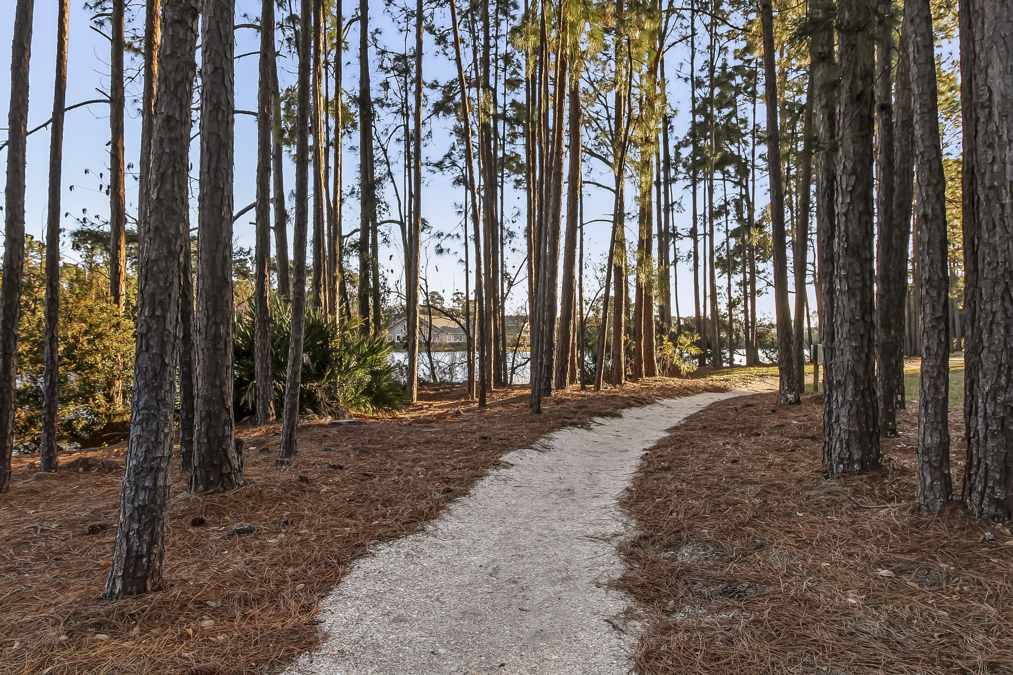 1625 Olmsted Lane Fernandina Beach FL 32034