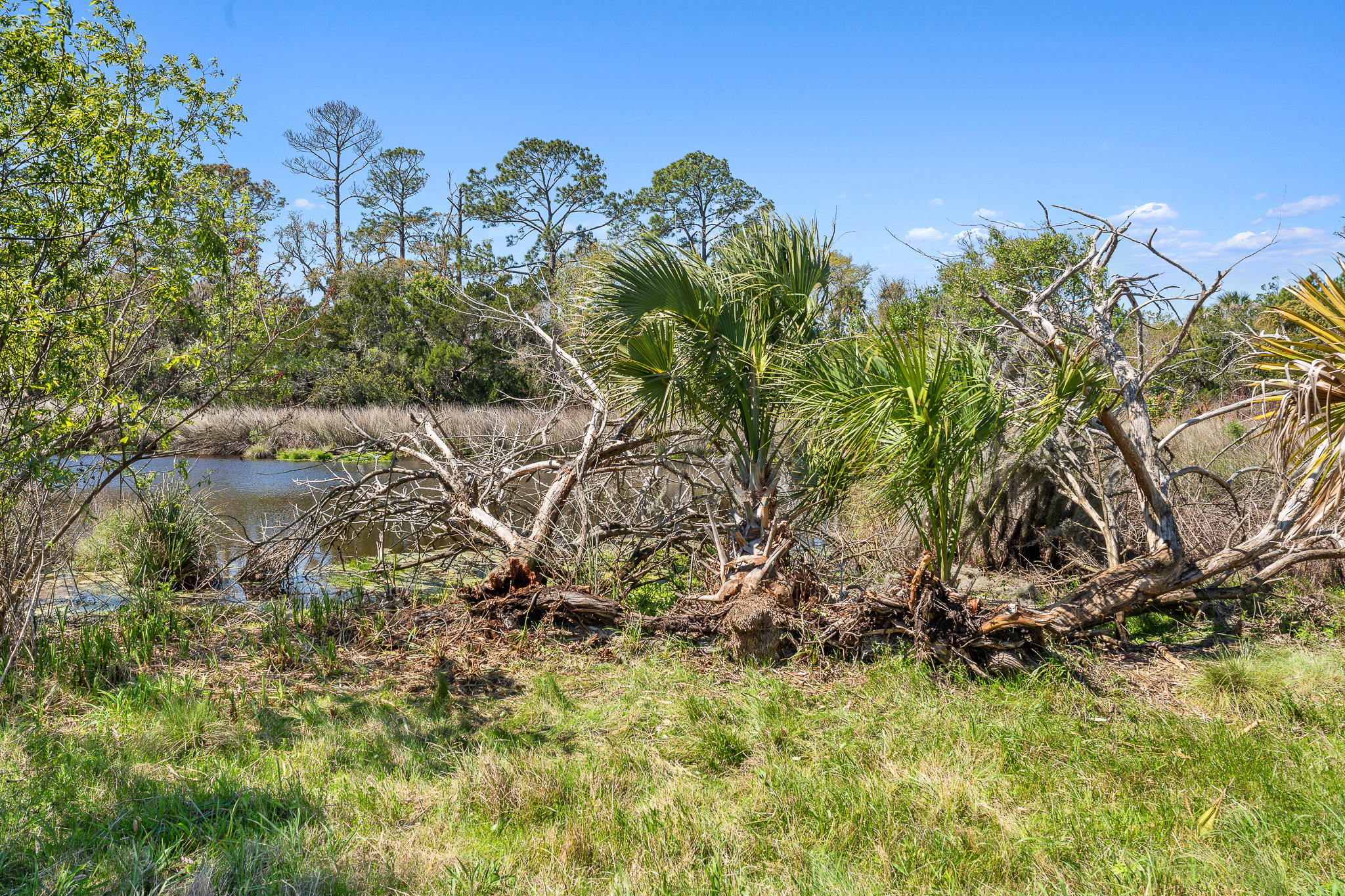 164 Tesoro Terrace St Augustine FL 32095