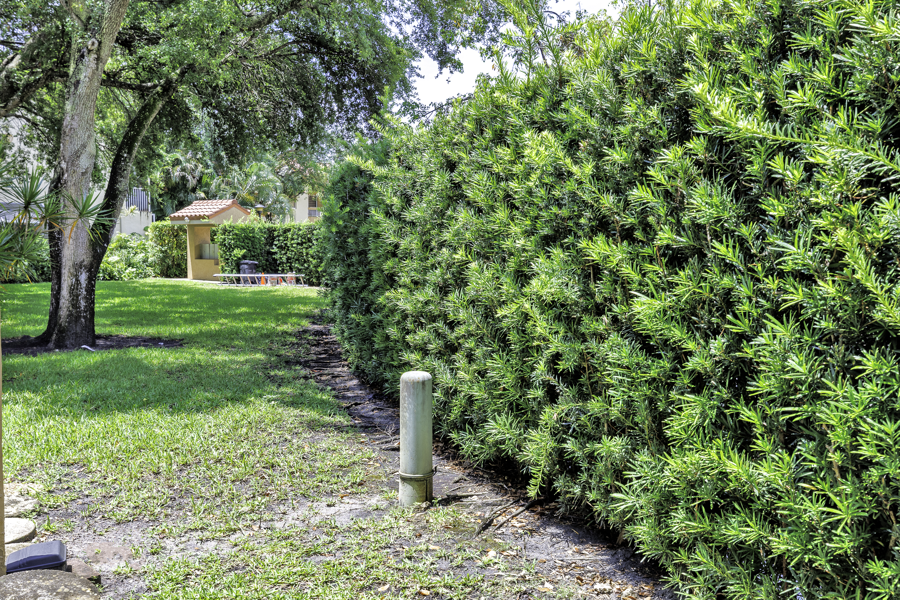 7874 NW 7th Court Plantation FL 33324