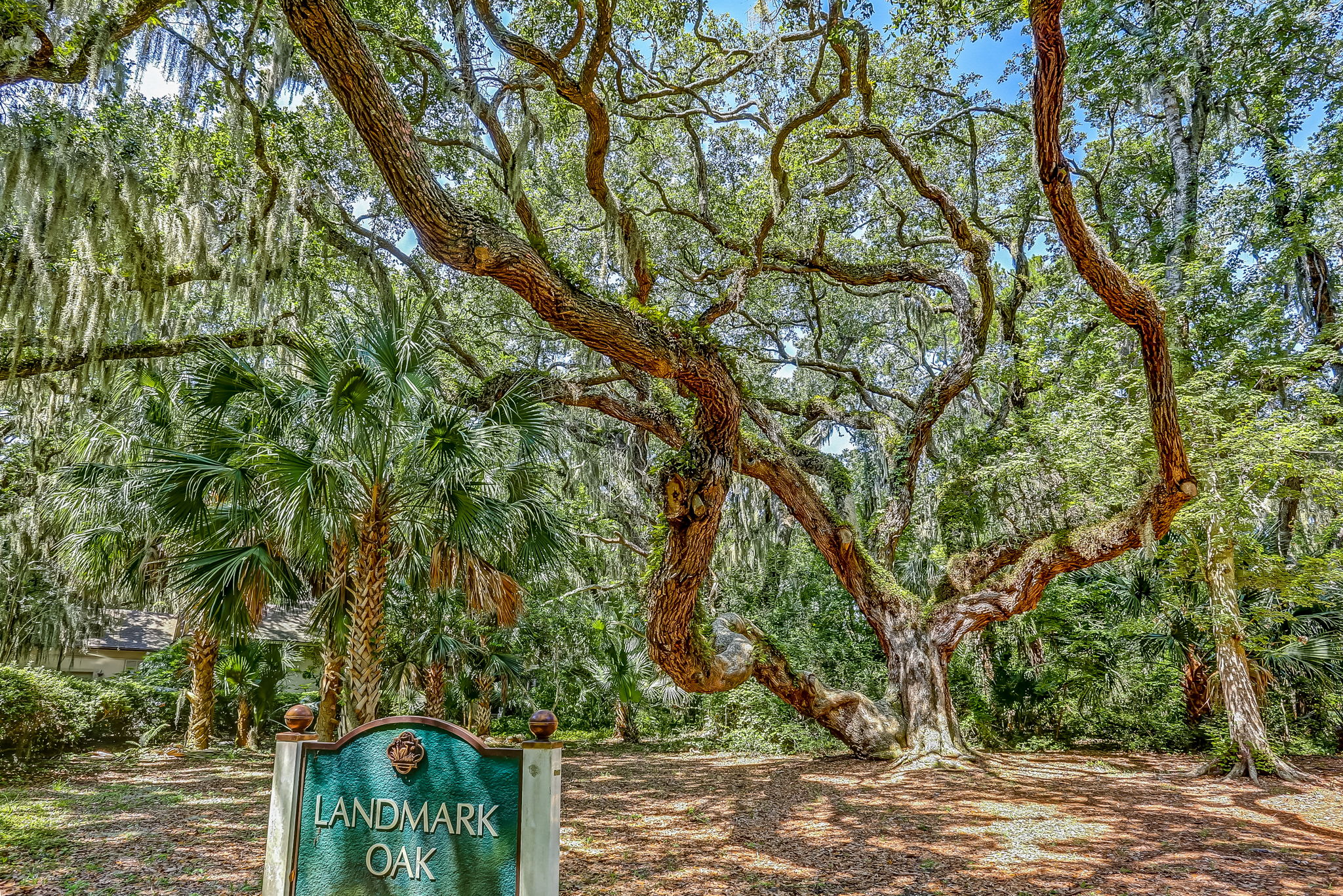 10 Hickory Lane Fernandina Beach FL 32034