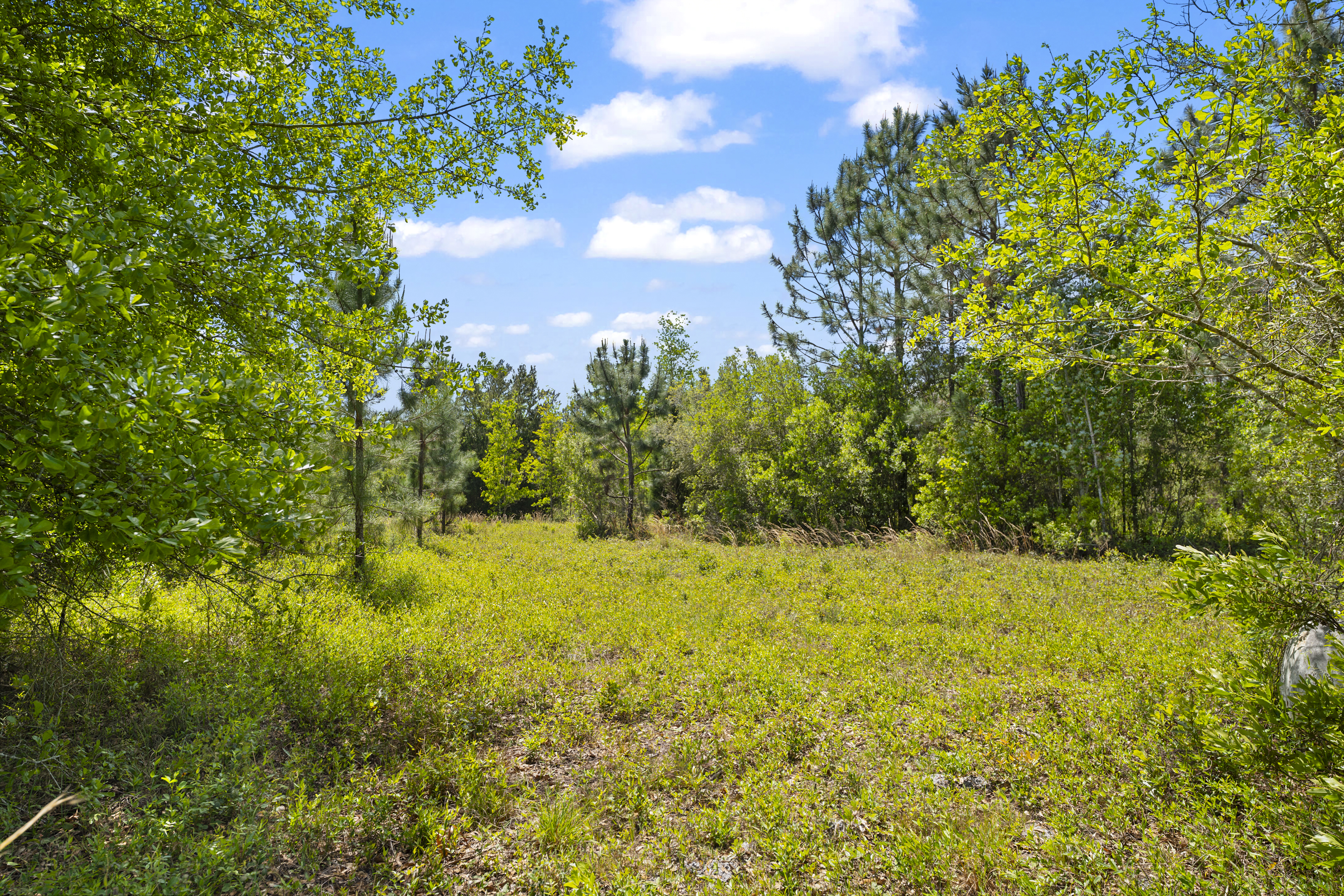 5371 Church Road St. Augustine FL 32092