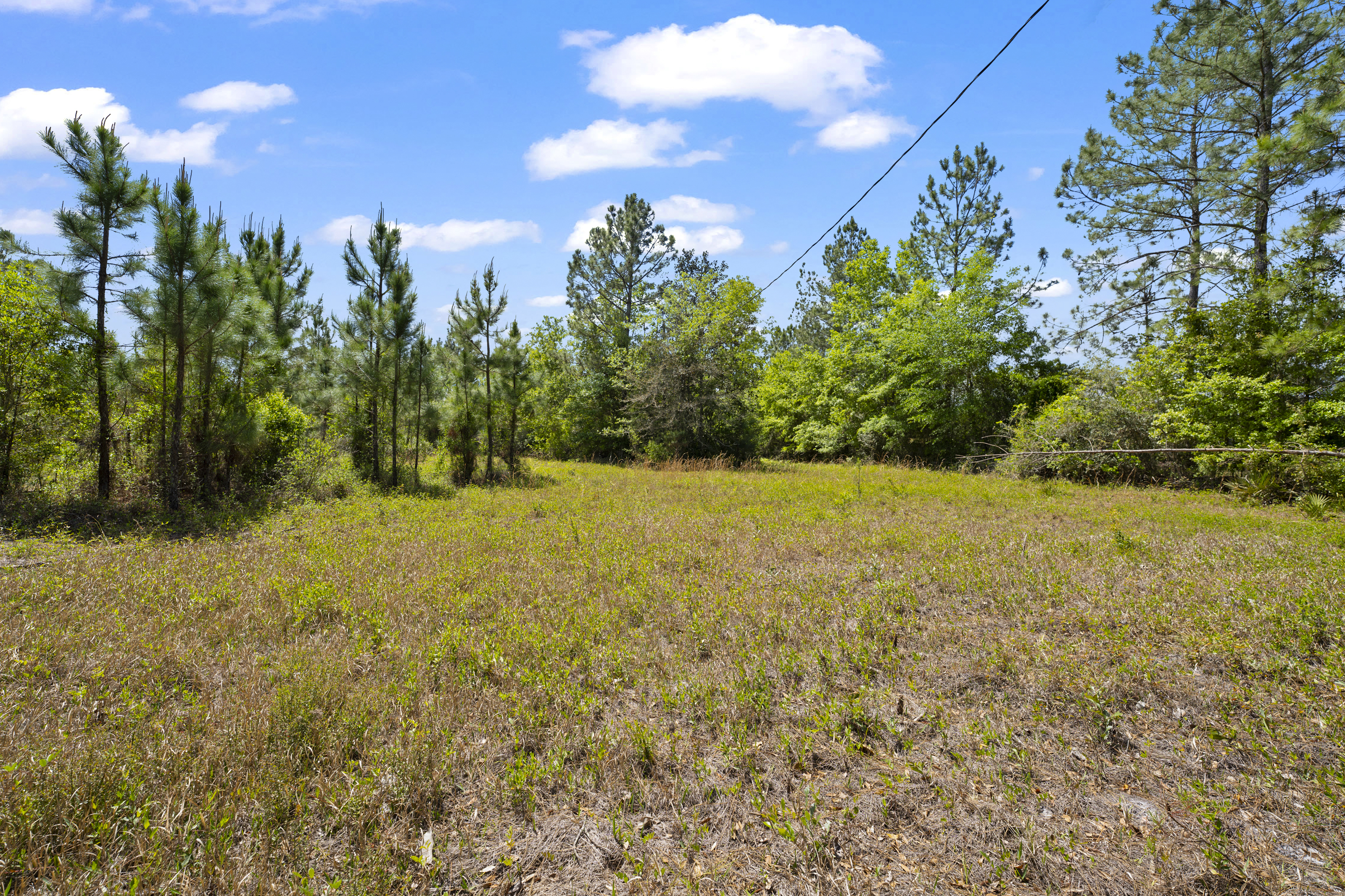 5371 Church Road St. Augustine FL 32092