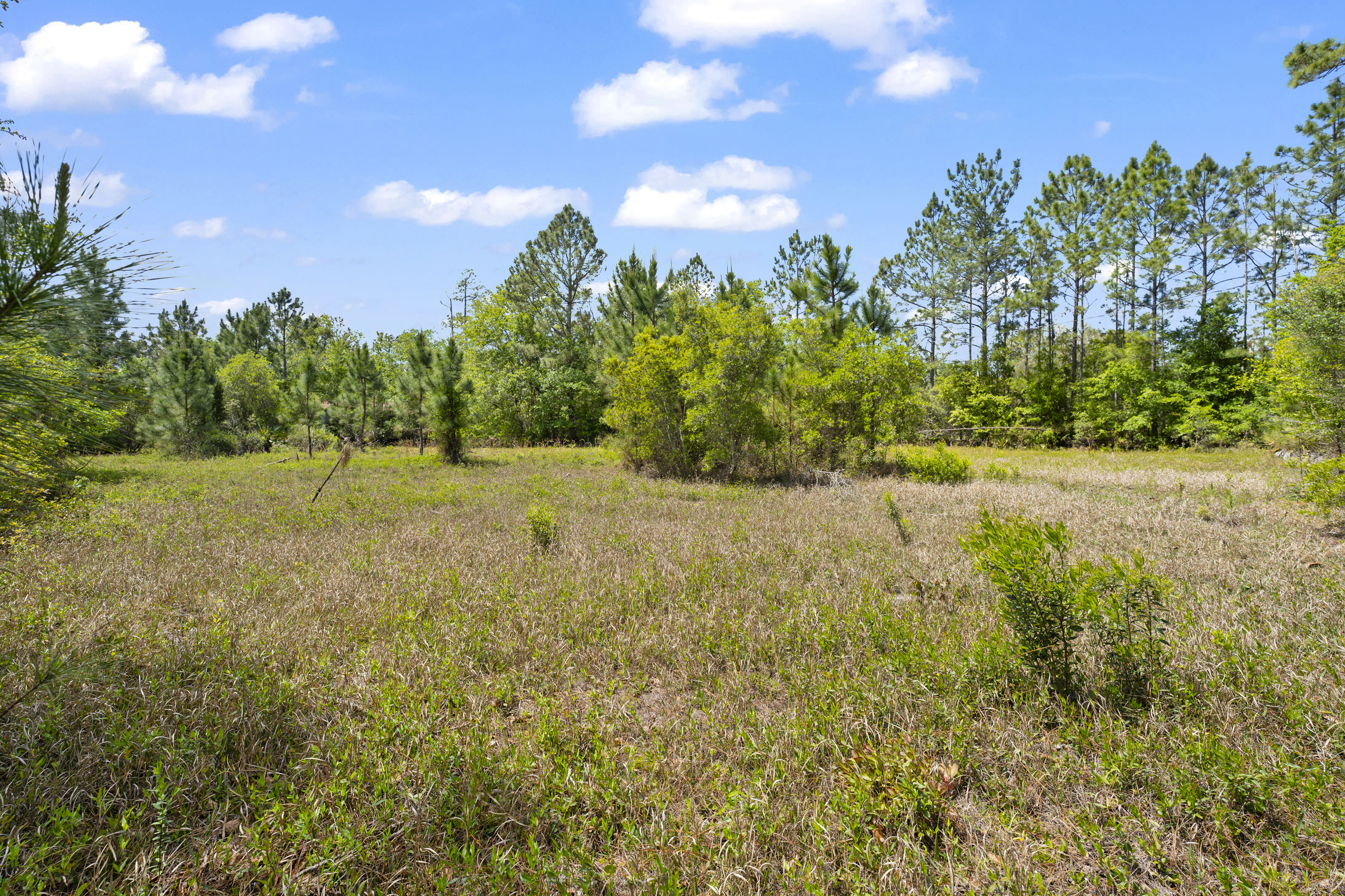 5371 Church Road St. Augustine FL 32092