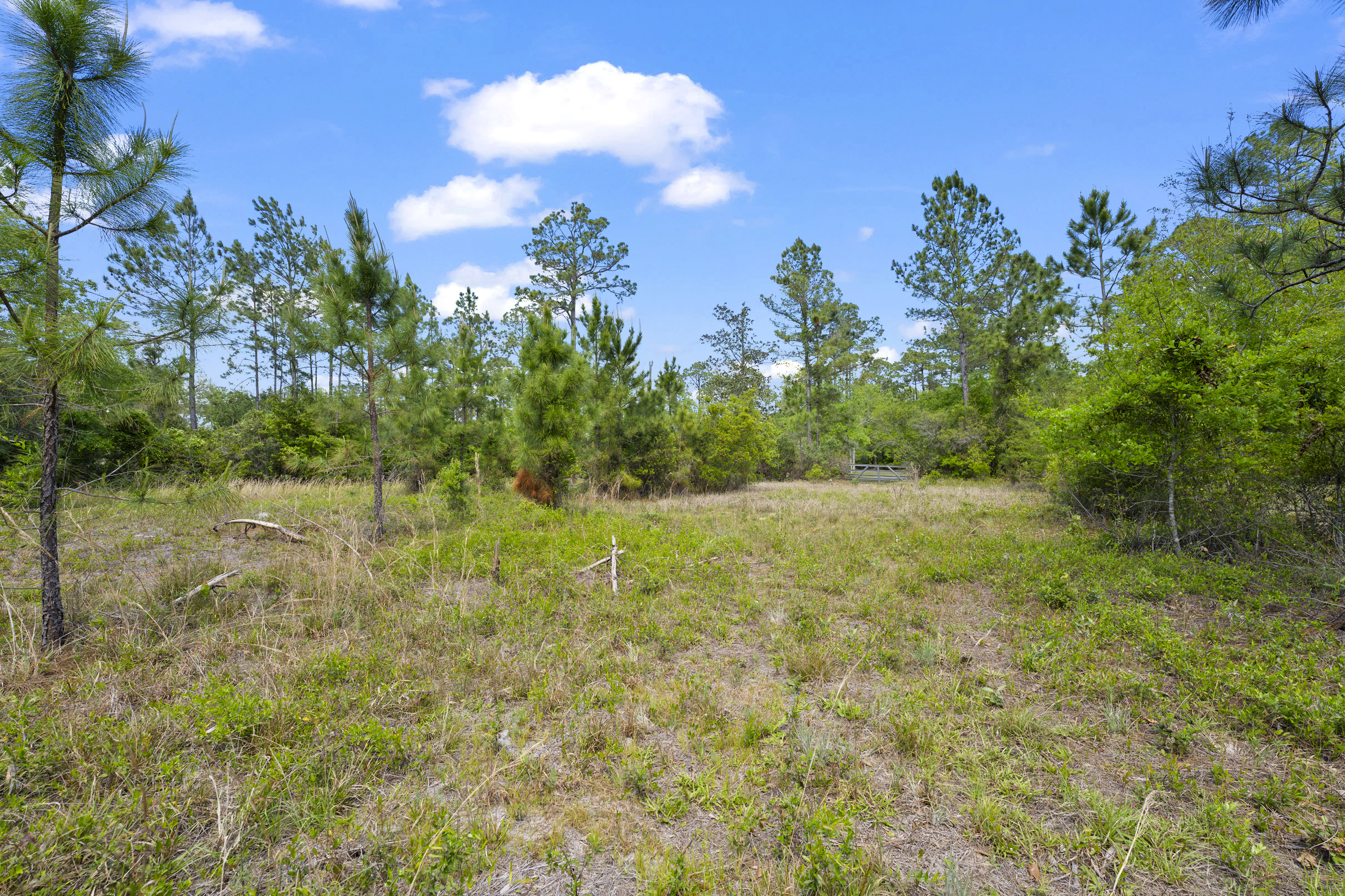 5371 Church Road St. Augustine FL 32092
