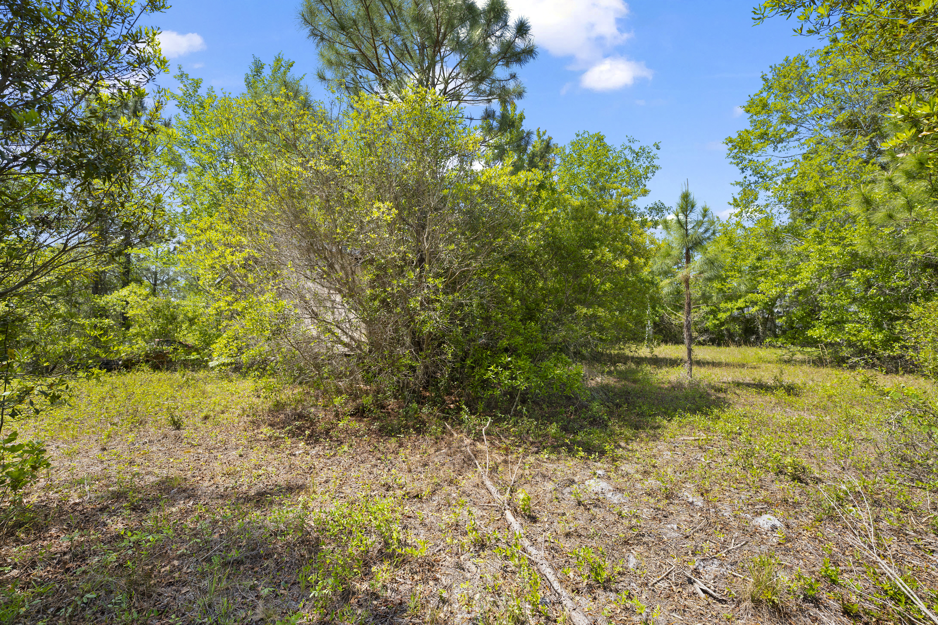5371 Church Road St. Augustine FL 32092